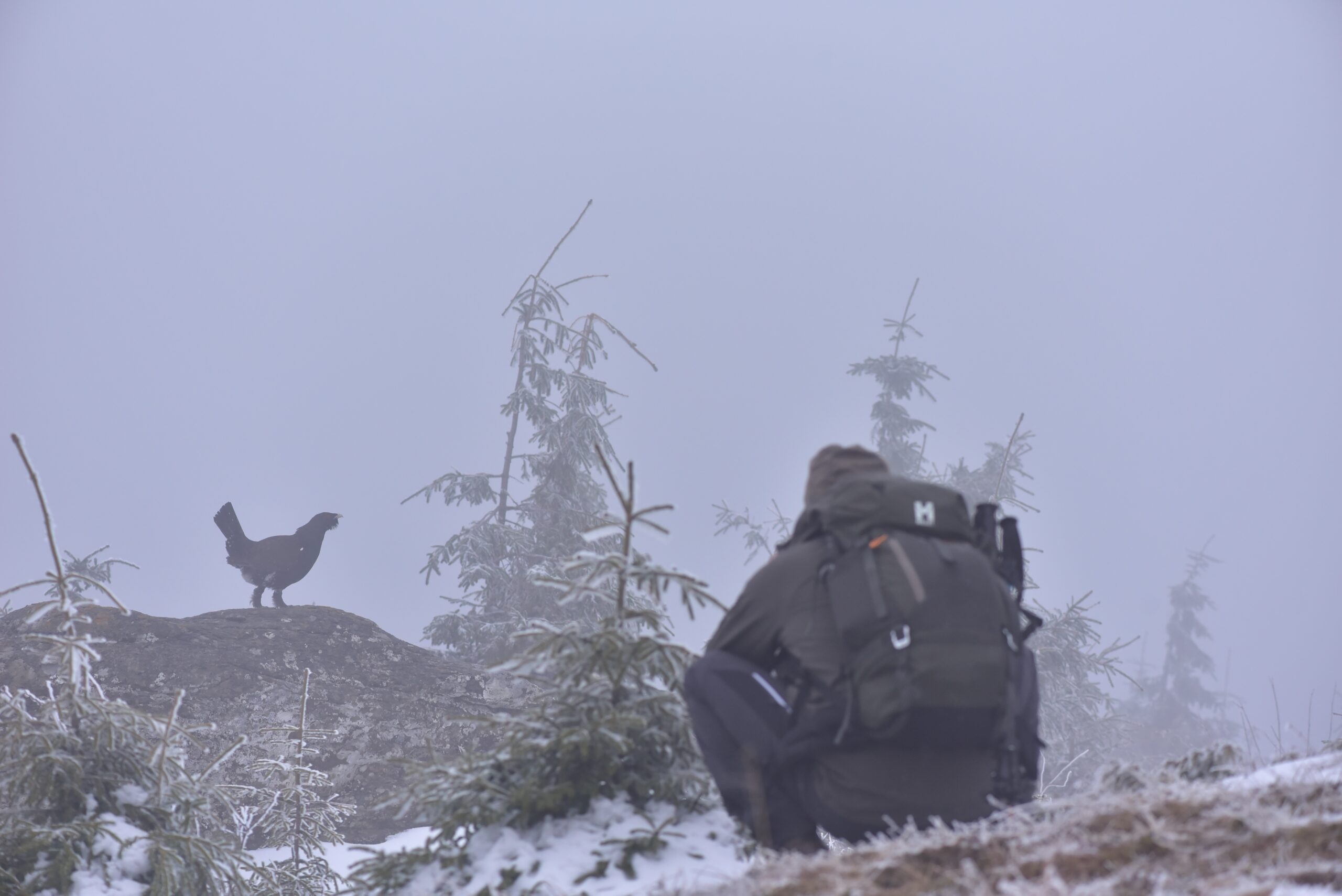 A început Programul Ranger 2025 – Formare esențială pentru profesioniștii care protejează natura
